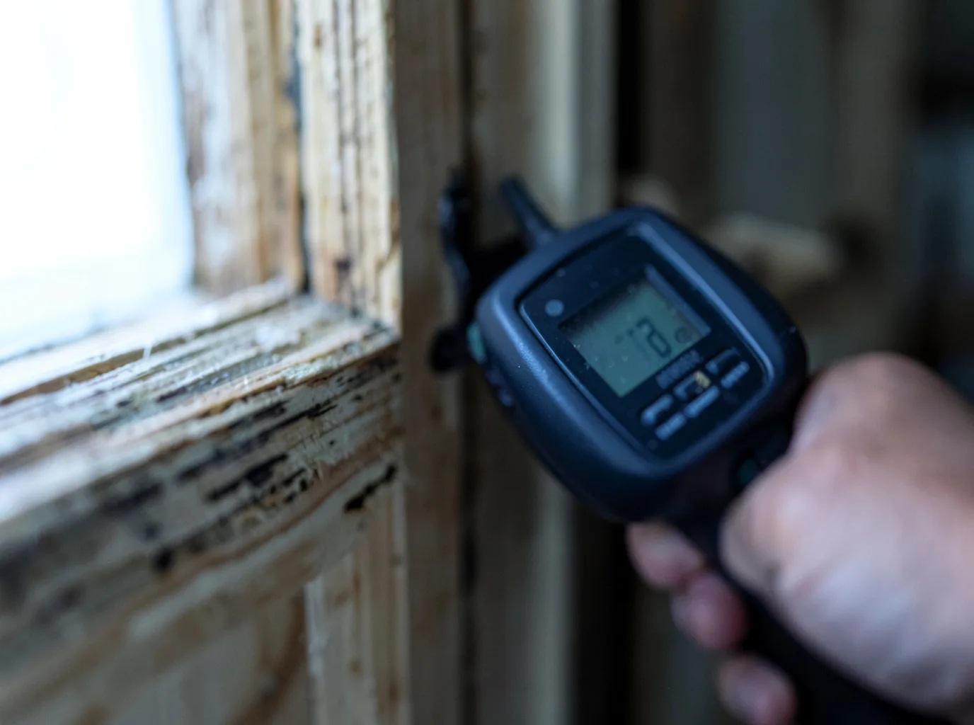 Moisture Inspection And Documentation in Holstein, IA